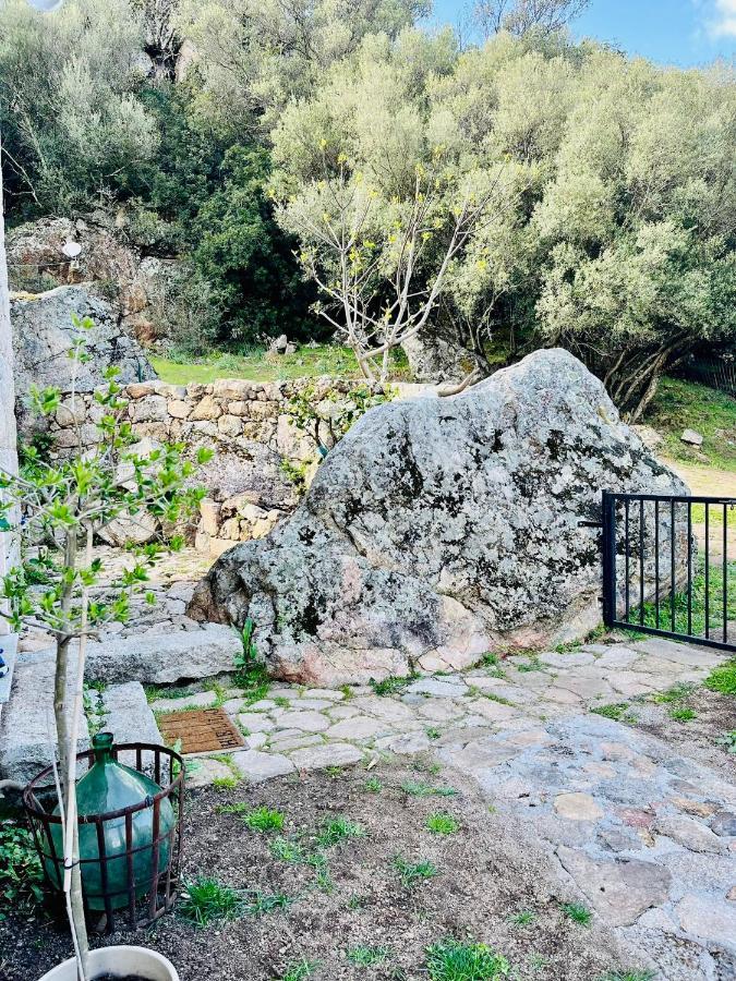 Maison De Campagne, Deux Chambres, Vue Sur Les Montagnes Sartène Kültér fotó